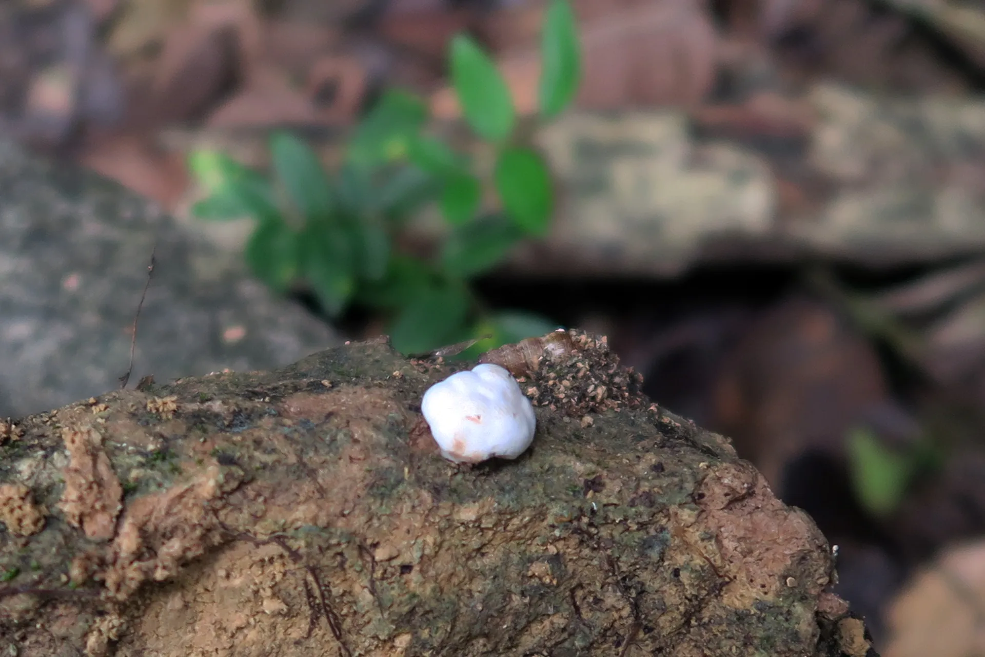 1 -